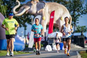 BIB: 
                            <button type="button" onclick="openModal(26541373)" class="btn btn-primary btn-sm float-right btn-popup" data-toggle="modal" data-target=".modal-high-quality">
                        <i class="fas fa-shopping-cart"></i> Add to Cart
                    </button>
                                            <button type="button" onclick="isThisMe(26541373, true)" class="btn btn-success btn-sm float-right btn-popup btn-isme hidden" data-toggle="tooltip" data-placement="bottom" title="นี่คือรูปของคุณใช่ไหม คลิกที่นี่เพื่อเอาเข้าอัลบั้ม">
                        <i class="fas fa-plus"></i> Add to album
                    </button>
                    <button type="button" onclick="isThisMe(26541373, false)" class="btn btn-warning btn-sm float-right btn-popup btn-isnotme hidden">
                        <i class="fas fa-ban"></i> Remove from album
                    </button>